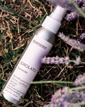 Idrolato Concentrato Lavanda Ibrida