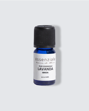 Olio Essenziale Lavanda Ibrida