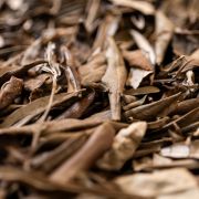 Chianti Treasure Infusion